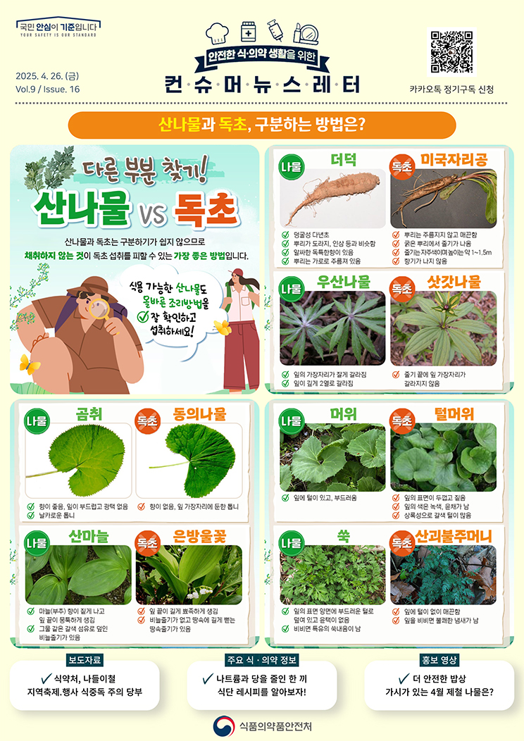 국민 안심이 기준입니다. 안전한 식의약 생활을 위한 컨슈머뉴스레터. 2025.4.25.(금) Issue.16. 산나물과 독초, 구분하는 방법은? 다른 부분 찾기! 산나물 vs 독초. 산나물과 독초는 구분하기가 쉽지 않으므로 채취하지 않는 것이 독초 섭취를 피할 수 있는 가장 좋은 방법입니다. 식용 가능한 산나물도 올바른 조리방법을 잘 확인하고 섭취하세요! 더덕 (나물). 덩굴성 다년초. 뿌리가 도라지, 인삼 등과 비슷함. 알싸한 독특한향이 있음. 뿌리는 가로로 주름져 있음. 미국자리공 (독초). 뿌리는 주름지지 않고 매끈함. 굵은 뿌리에서 줄기가 나옴. 줄기는 자주색이며 높이는 약 1~1.5m. 향기가 나지 않음. 우산나물 (나물). 잎의 가장자리가 잘게 갈라짐. 잎이 깊게 2열로 갈라짐. 삿갓나물 (독초). 줄기 끝에 잎 가장자리가 갈라지지 않음. 곰취 (나물). 향이 좋음, 잎이 부드럽고 광택 없음. 날카로운 톱니. 동의나물 (독초). 향이 없음, 잎 가장자리에 둔한 톱니. 산마늘 (나물). 마늘(부추) 향이 짙게 나고 잎 끝이 뭉툭하게 생김. 그물같은 갈색 섬유로 덮인 비늘줄기가 있음. 은방울꽃 (독초). 잎 끝이 뾰족하게 생김. 비늘줄기가 없고 땅속에 길게 뻗는 땅속줄기가 있음. 머위 (나물). 잎에 털이 있고, 부드러움. 털머위 (독초). 잎의 표면이 두껍고 짙음. 잎의 색은 녹색, 윤채가 남 . 상록성으로 갈색 털이 많음. 쑥 (나물). 잎의 표면 양면에 부드러운 털로 덮여 있고 윤택이 없음. 비비면 특유의 쑥내음이 남 . 산괴불주머니 (독초). 잎에 털이 없이 매끈함. 잎을 비비면 불쾌한 냄새가 남 . 보도자료. 식약처, 나들이철 지역축제, 행사 식중독 주의 당부. 주요 식·의약 정보. 나트륨과 당을 줄인 한 끼 식단 레시피를 알아보자! 홍보영상. 더 안전한 밥상. 가시가 있는 4월 제철 나물은? 식품의약품안전처.