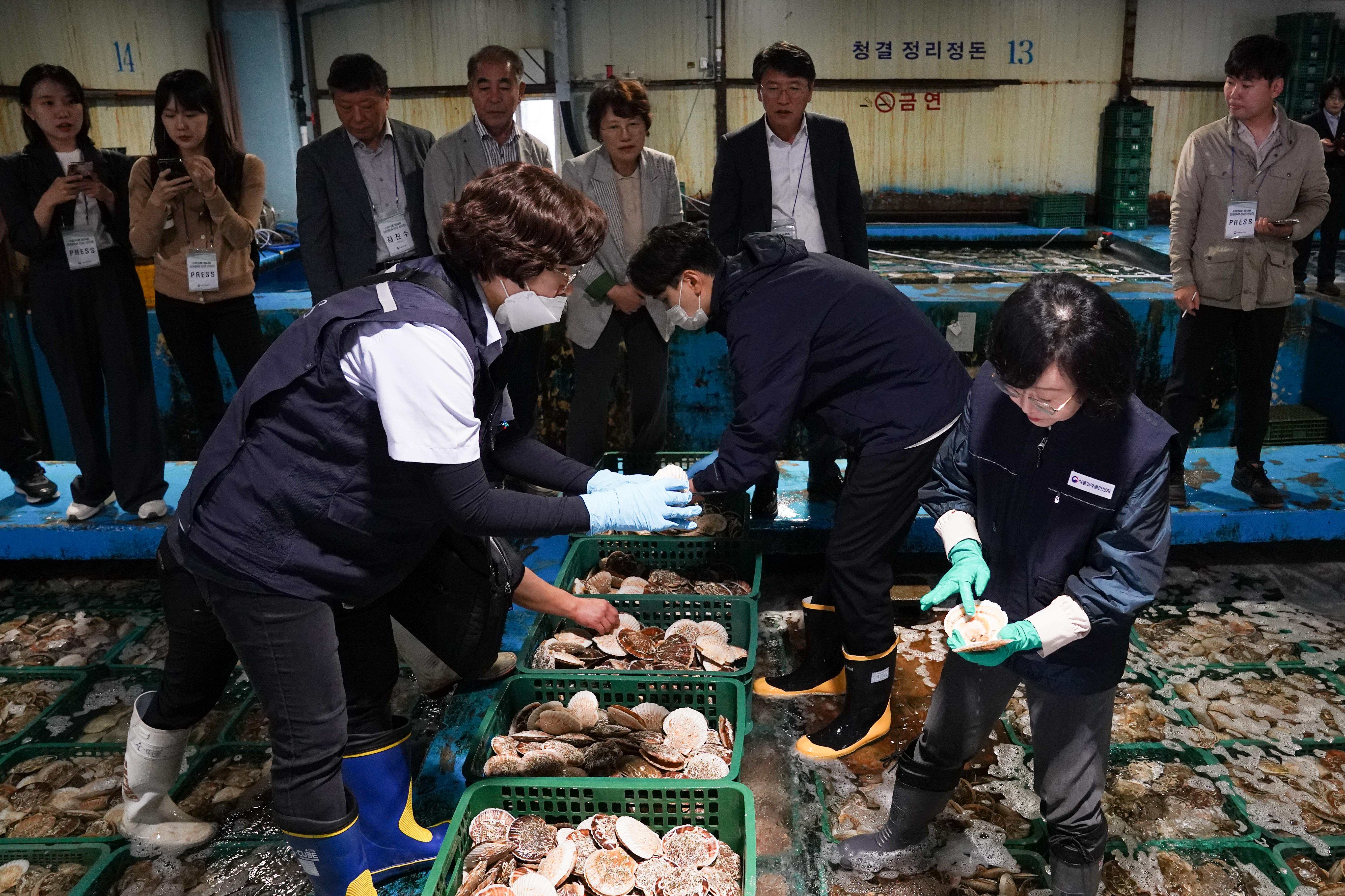 수입 수산물 방사능 검사 현장점검