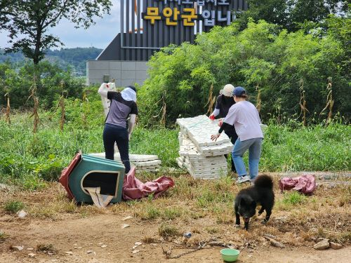 자세히 보기
