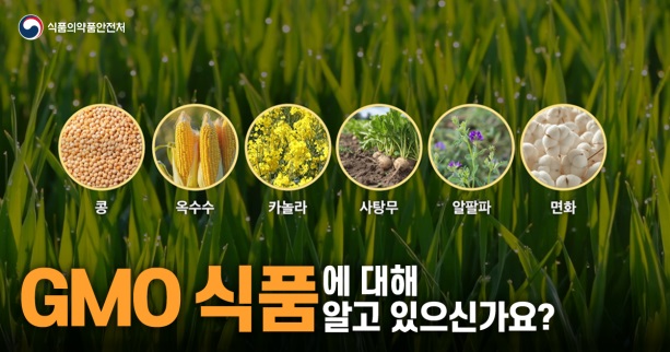 식품의약품안전처
콩 옥수수 카놀라 사탕무 알팔파 면화
GMO 식품에 대해 알고 있으신가요?