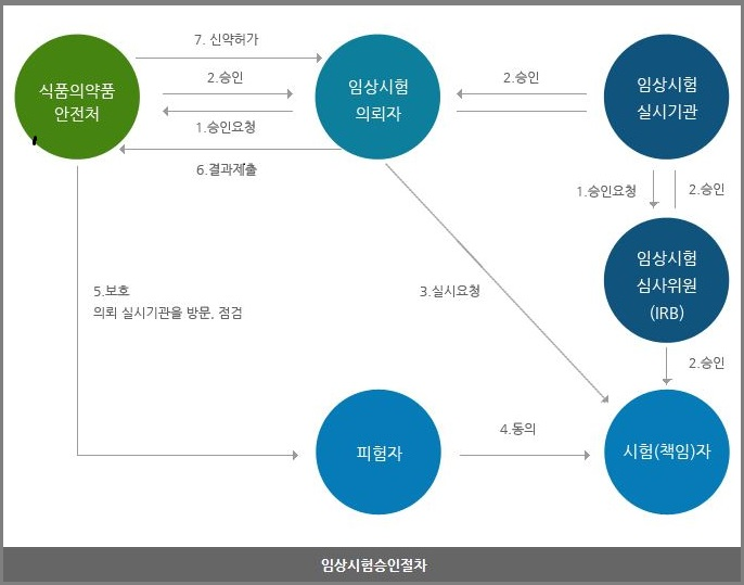 임상시험 승인 절차