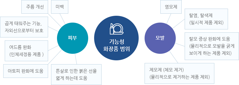 기능성 화장품 범위 안내