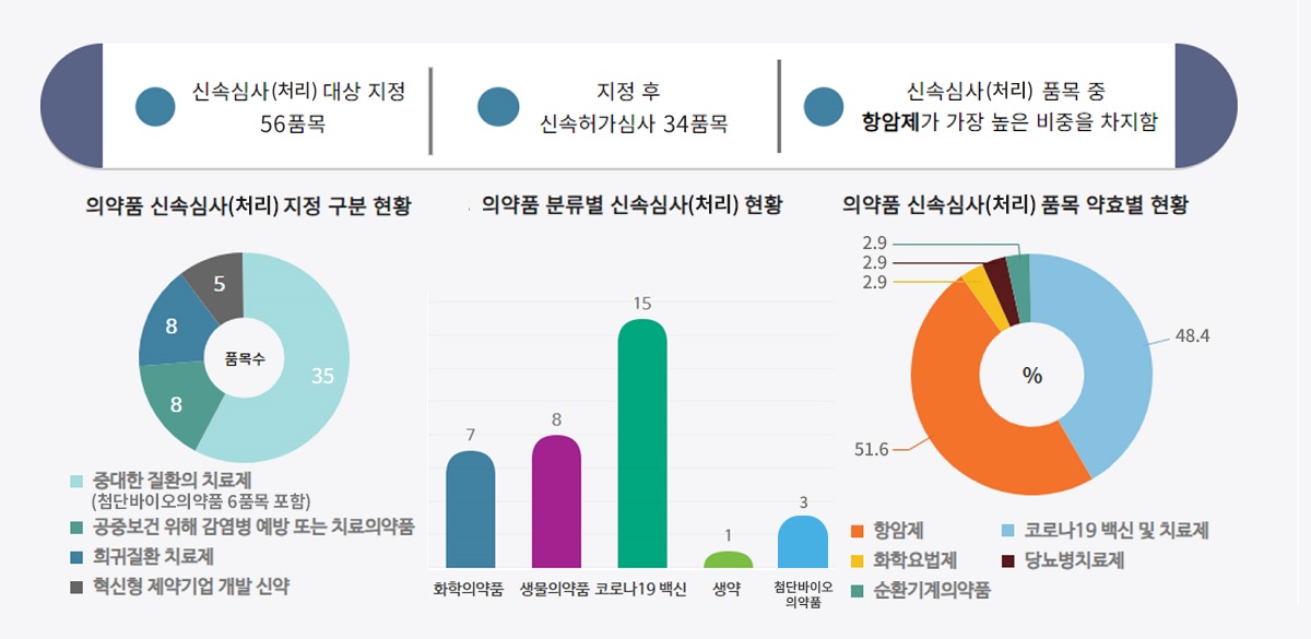 신속심사 지정 요약 차트
