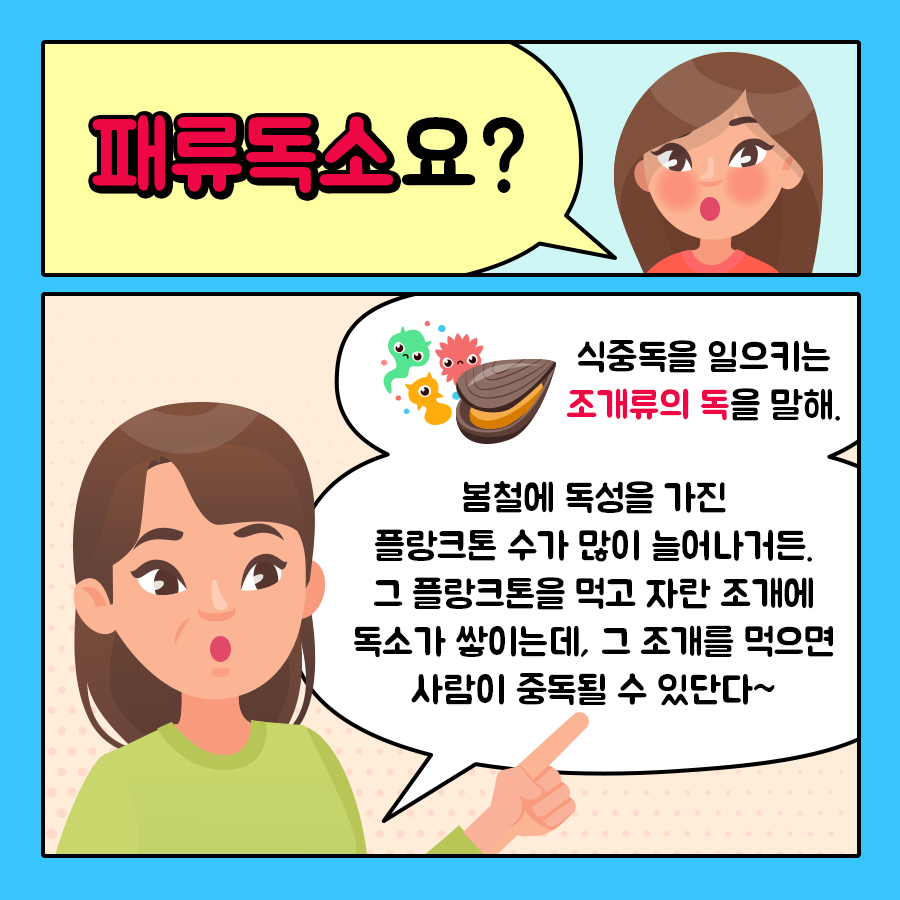 딸 '패류독소요?' 엄마 '식중독을 일으키는 조개류의 독을 말해. 봄철에 독성을 가진 플랑크톤 수가 많이 늘어나거든. 그 플랑크톤을 먹고 자란 조개에 독소가 쌓이는데, 그 조개를 먹으면 사람이 중독될 수 있단다~'