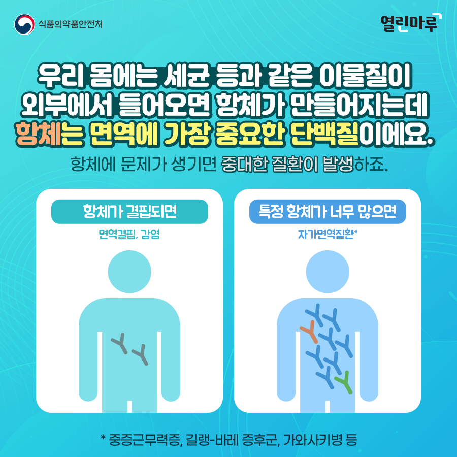 우리 몸에는 세균 등과 같은 이물질이 외부에서 들어오면 항체가 만들어지는데 항체는 면역에 가장 중요한 단백질이에요. 항체에 문제가 생기면 중대한 질환이 발생하죠. 항체가 결핍되면 면역결핍, 감염. 특정 항체가 너무 많으면 자가면역질환*. * 중증근무력증, 길랭-바레 증후군, 가와사키병 등