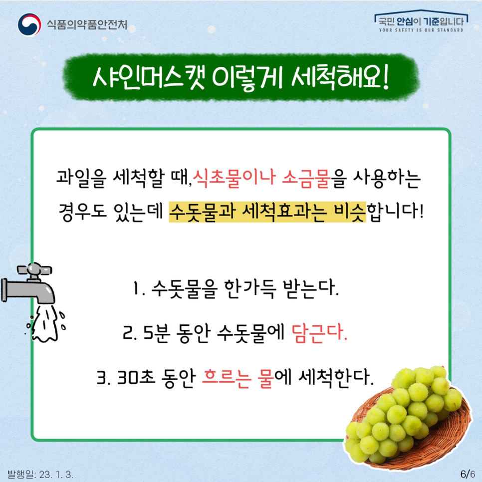 <과일류 세척법>
1. 수돗물을 한가득 받는다.
2. 5분 동안 수돗물에 담근다.
3. 30초 동안 흐르는 물에 세척한다.
함께 알아본 샤인머스캣 생장조정제 지베렐린! 어떠셨나요? 생장조정제는 안전한 물질로 평가되었지만 잔류 농약은 꼭 세척하는 게 좋습니다! 식약처가 전해드린 정보로 맛있는 샤인머스캣, 안심하고 섭취하세요~