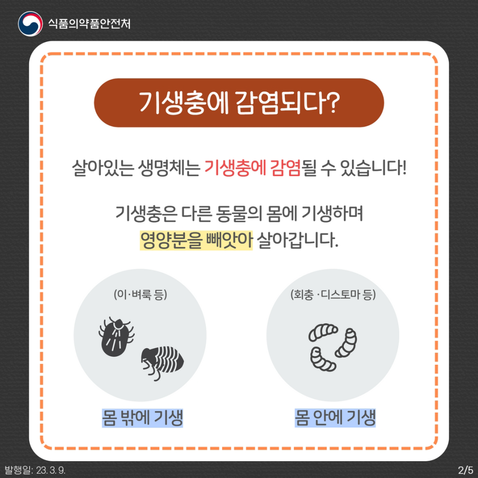 기생충에 감염되다?

살아있는 생명체는 기생충에 감염될 수 있습니다!
기생충은 다른 동물의 몸에 기생하며 영양분을 빼앗아 살아갑니다.
몸 밖에 기생: 이, 벼룩 등
몸 안에 기생: 회충, 디스토마 등
