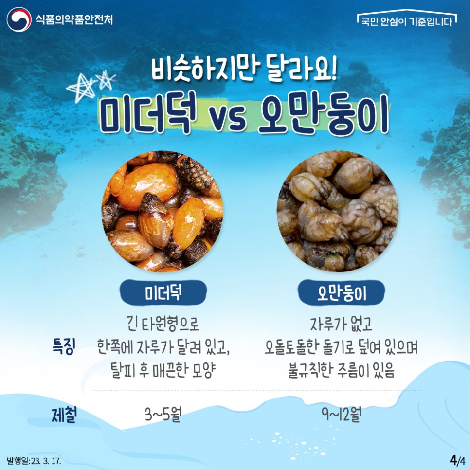 비슷하지만 달라요!
미더덕 vs 오만둥이
미더덕
특징: 긴 타원형으로 한쪽에 자루가 달려 있고, 탈피 후 매끈한 모양
제철: 3~5월
오만둥이
특징: 자루가 없고 오돌토돌한 돌기로 덮여 있으며 불규칙한 주름이 있음
제철: 9~12월