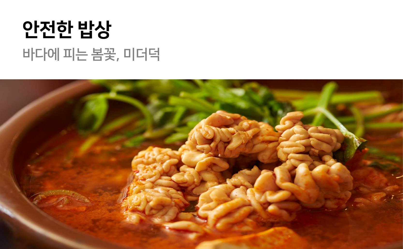 안전한 밥상 바다에 피는 봄꽃 미더덕