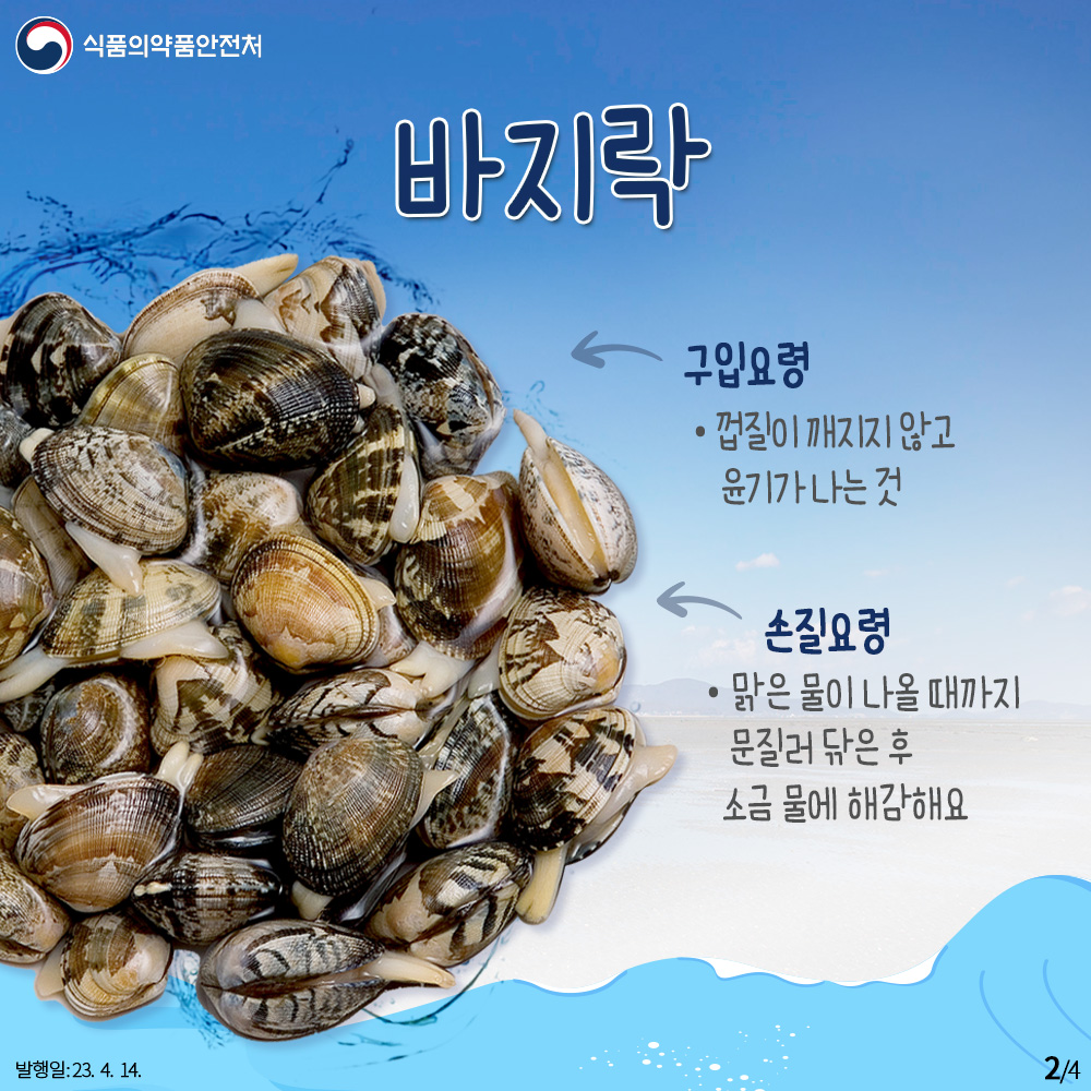 바지락

구입요령
껍질이 깨지지 않고 윤기가 나는 것

손질요령
맑은 물이 나올 때까지 문질러 닦은 후 소금 물에 해감해요