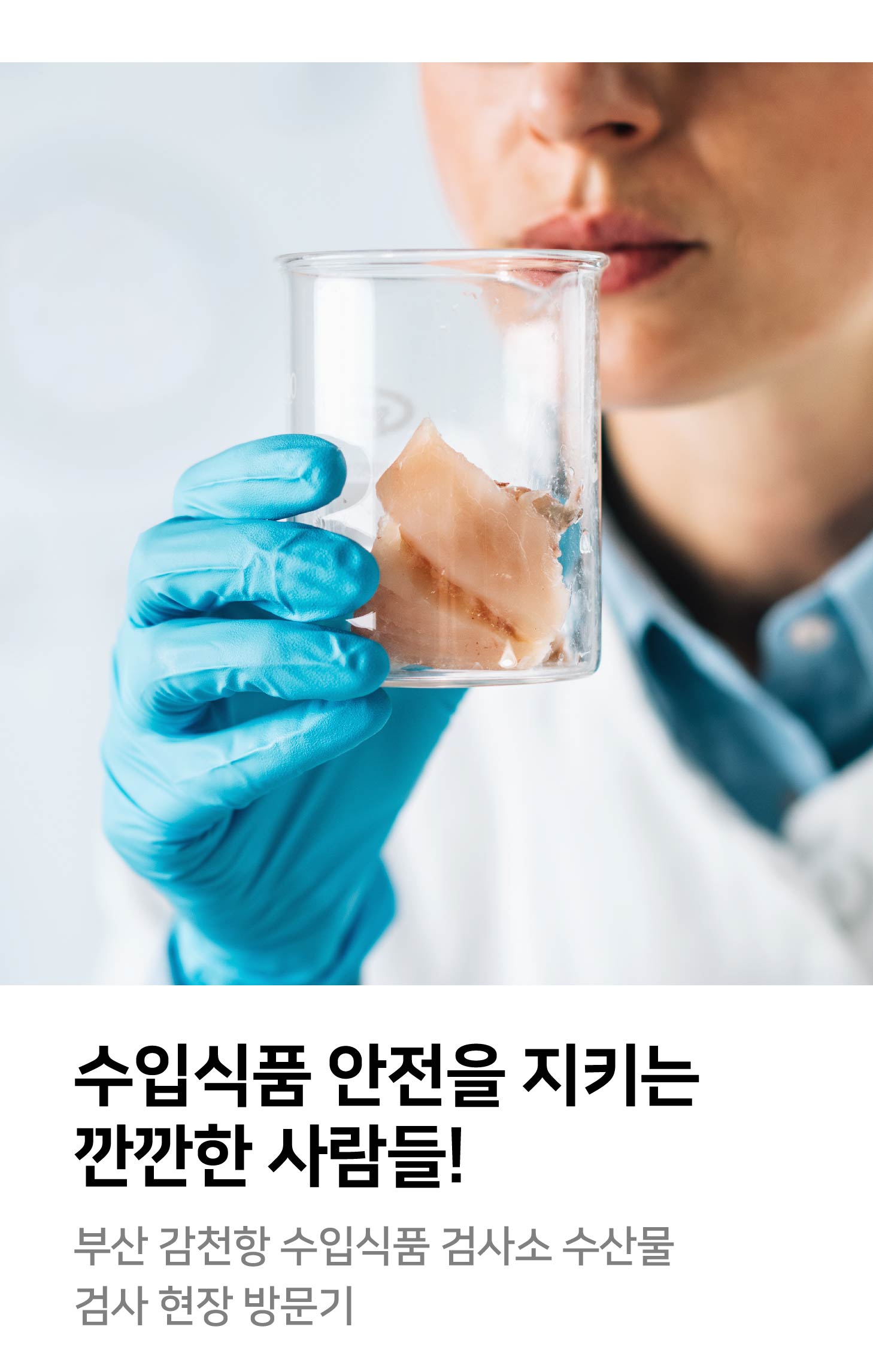 수입식품 안전을 지키는 깐깐한 사람들! 부산 감천항 수입식품 검사소 수산물 검사 현장 방문기