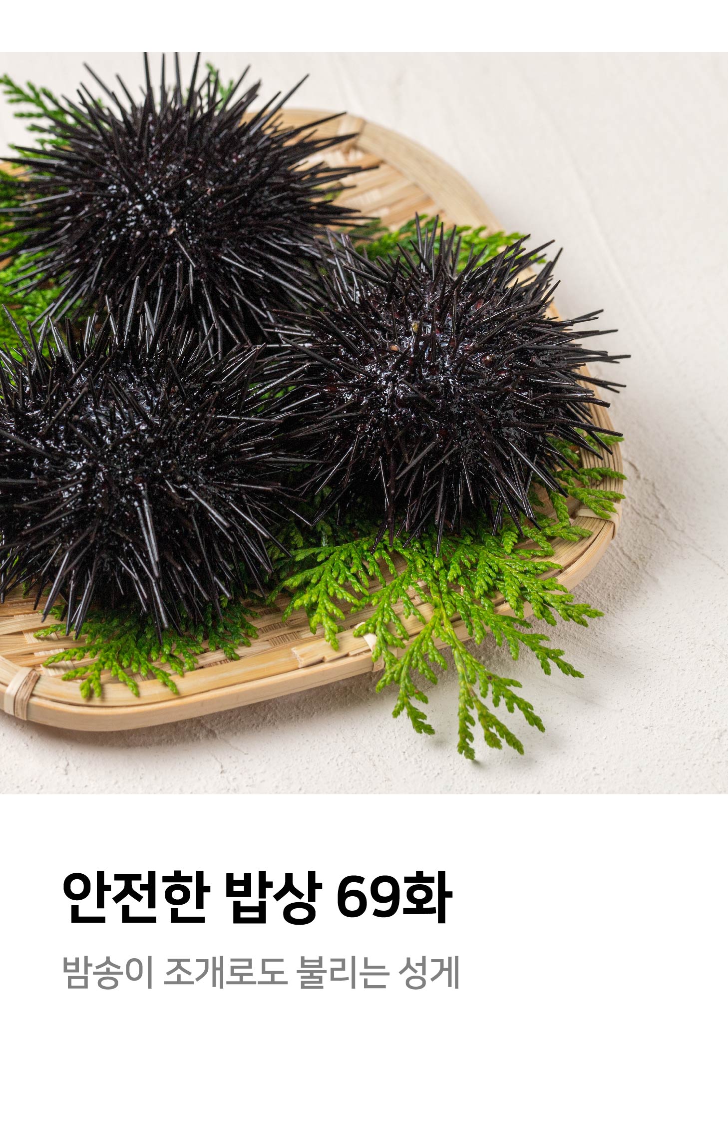 안전한 밥상 69화 밤송이 조개로도 불리는 성게