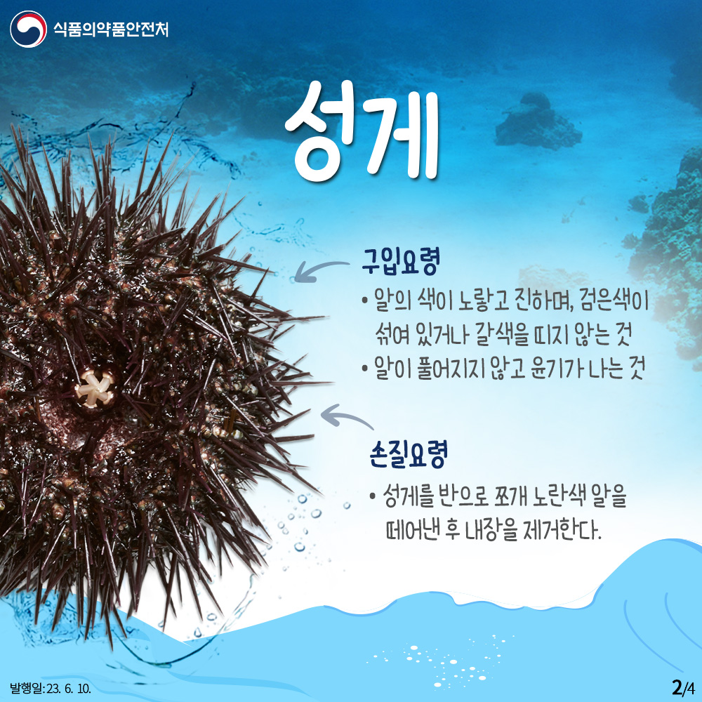 성게

(구입요령) 
- 알의 색이 노랗고 진하며, 검은색이 섞여 있거나 갈색을 띠지 않는 것
- 알이 풀어지지 않고 윤기가 나는 것

(손질요령) 
- 성게를 반으로 쪼개 노란색 알을 떼어낸 후 내장을 제거한다.