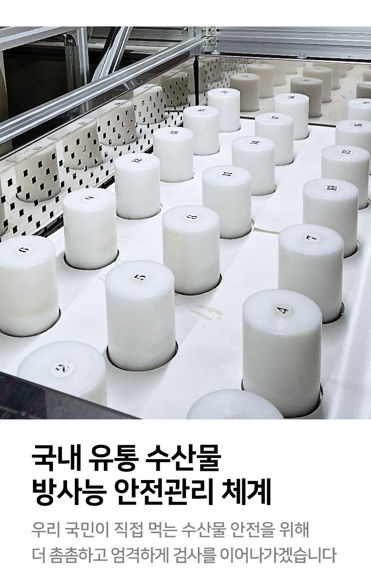 국내 유통 수산물 방사능 안전관리 체계 우리 국민이 직접 먹는 수산물 안전을 위해 더 촘촘하고 엄격하게 검사를 이어나가겠습니다