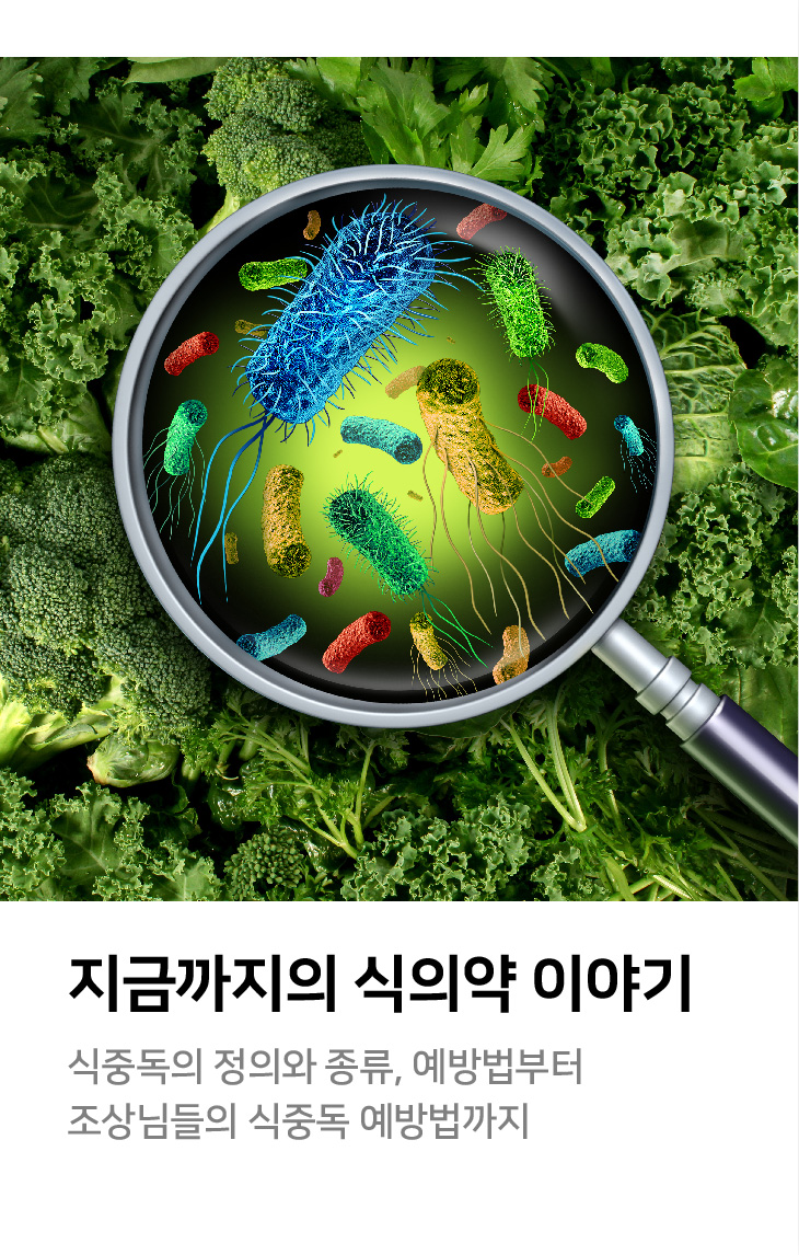 지금까지의 식의약 이야기 식중독의 정의와 종류, 예방법부터 조상님들의 식중독 예방법까지