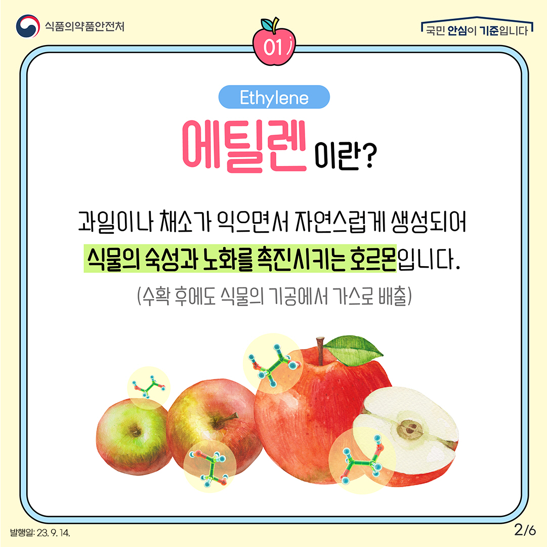 2.
﻿에틸렌이란? (Ethylene)

​과일이나 채소가 익으면서 자연스럽게 생성되어 식물의 숙성과 노화를 촉진시키는 호르몬입니다.

(수확 후에도 식물의 기공에서 가스로 배출)