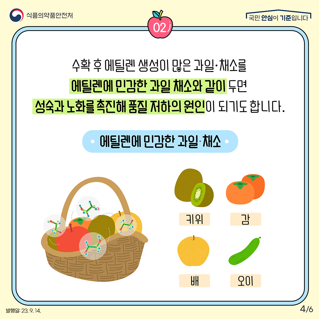 4.
수확 후 에틸렌 생성이 많은 과일·채소를 에틸렌에 민감한 과일 채소와 같이 두면 성숙과 노화를 촉진해 품질 저하의 원인이 되기도 합니다!

​에틸렌에 민감한 과일·채소 : 키위, 감, 배, 오이 등