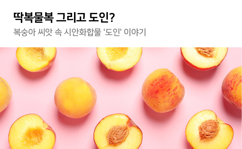 딱복물복 그리고 도인 복숭아 씨앗 속 시안화합물 도인 이야기