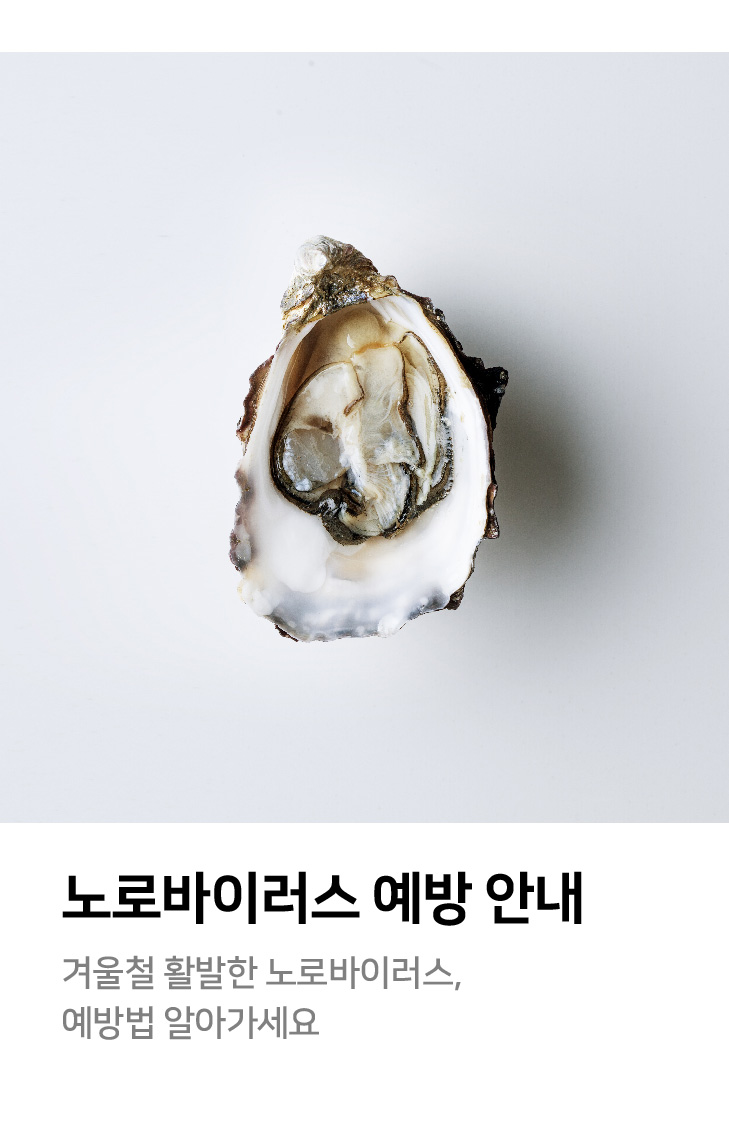 노로바이러스 예방 안내 겨울철 활발한 노로바이러스, 예방법 알아가세요