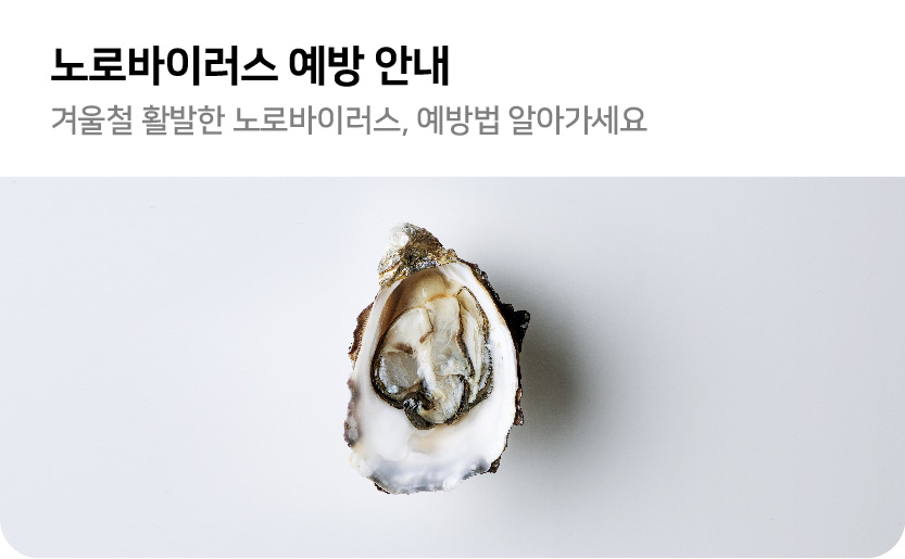 노로바이러스 예방 안내 겨울철 활발한 노로바이러스 예방법 알아가세요