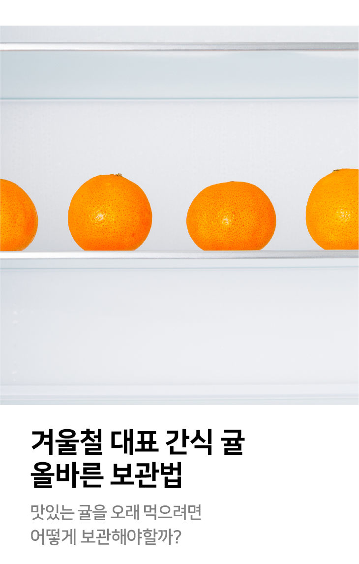 겨울철 대표 간식 귤 올바른 보관법 맛있는 귤을 오래 먹으려면 어떻게 보관해야할까?