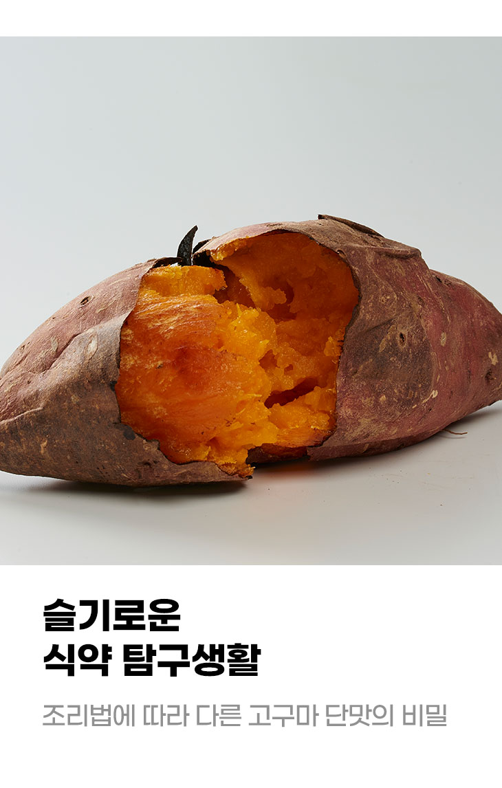 슬기로운 식약 탐구생활 조리법에 따라 다른 고구마 단맛의 비밀