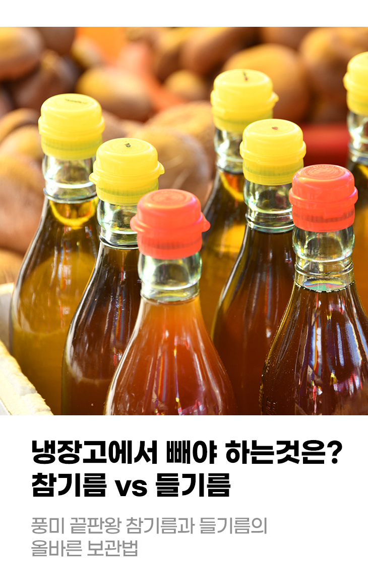 냉장고에서 빼야 하는것은? 참기름 vs 들기름 풍미 끝판왕 참기름과 들기름의 올바른 보관법