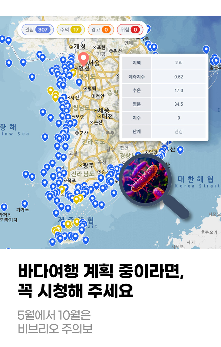 바다여행 계획 중이라면, 꼭 시청해 주세요 5월에서 10월은 비브리오 주의보