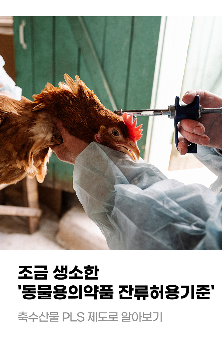 조금 생소한 '동물용의약품 잔류허용기준' 축수산물 PLS 제도로 알아보기