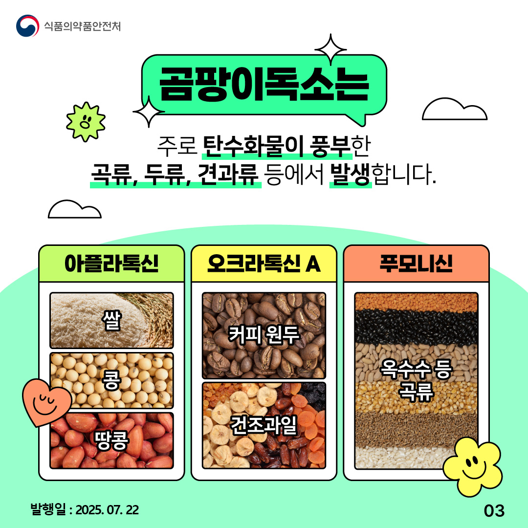 3.
식품의약품안전처

곰팡이독소는
주로 탄수화물이 풍부한
곡류, 두류, 견과류 등에서 발생합니다.

아플라톡신
쌀
콩
땅콩

오크라톡신 A
커피 원두
건조과일

푸모니신
옥수수 등
곡류

발행일 : 2025.07.22
03
