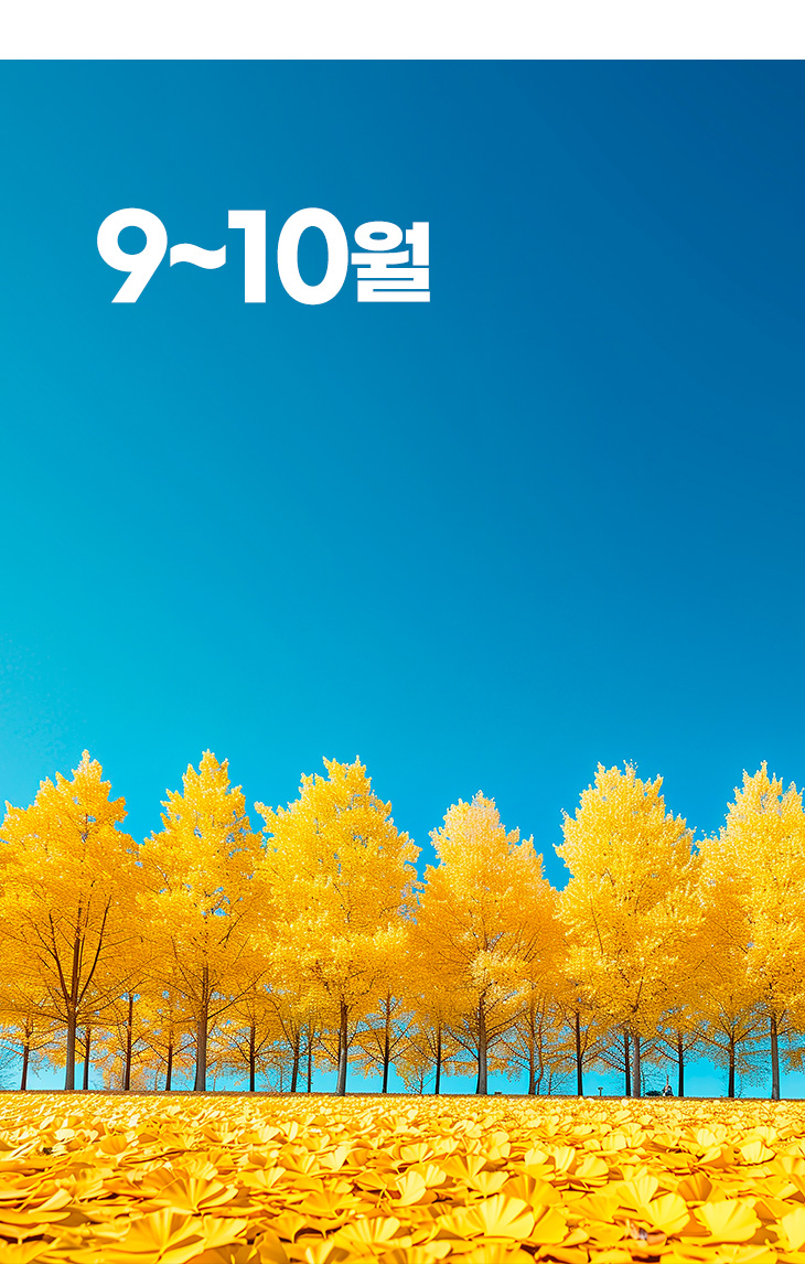 열린마루 2025년 9~10월