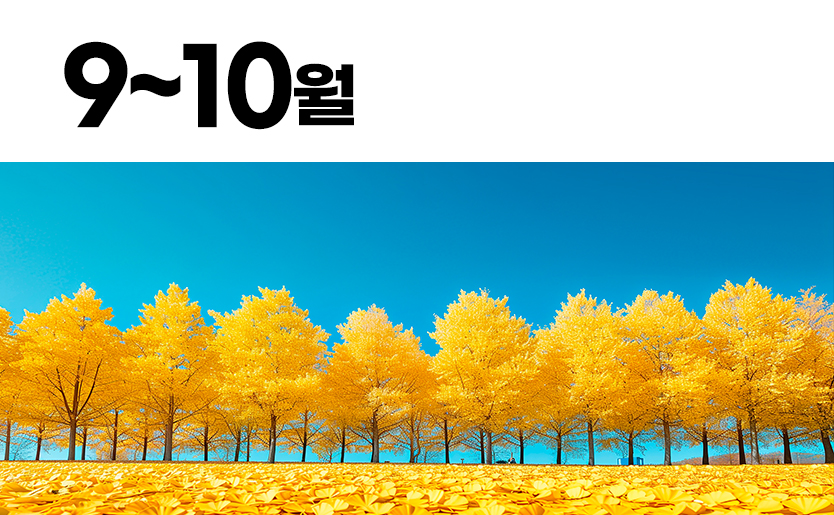 열린마루 9~10월호